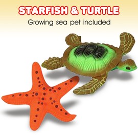 Growing Sea Animals by ArtCreativity 6 Different Water Expanding Sea Creatures - Grows 6X Larger - Amazing Sensory Jelly-Like Toy - Fun and Educational Gift for Boys and Girls.