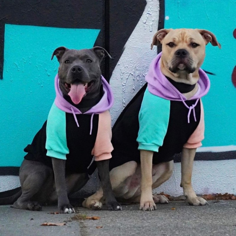 Spark Paws Dog Hoodie Jumper - Premium Quality, Buttery Soft,