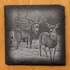 Deer Wildlife (4 images) Set #1 Coasters - Square Slate