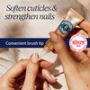 L'Occitane Nourishing Gift Set: Soften, Moisturize and Comfort Skin With