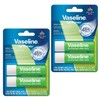 Vaseline Terapia de labios Aloe Vera, palo, 48 horas de
