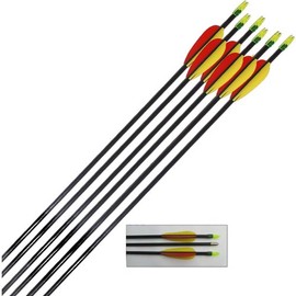 Fiberglass Arrows / Length: 28 inches (72 cm) / for Compound / Recurve Bows (6 X 28 inches)