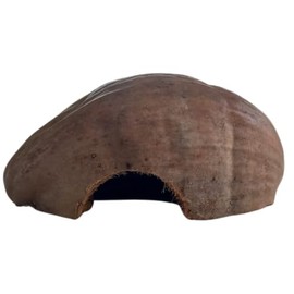 Natunae - Natürlicher Versteck Kokosnuss Schale Deko für Kleine Tiere, Terrarium, Hamster