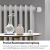 Eve Thermo Control (Matter) - Eve Thermo (4th Gen) Thread
