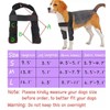 Dog Elbow Brace Protector Pads Stable Support Adjustable Breathable Dog