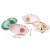Grokebo Makeup Tools Art Plate Nail Art Palette Oval Irregular