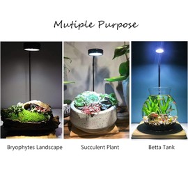 Hiro Aquatics Full Spectrum LED Light with Bamboo Board, Fits Aquarium Nano Tank, Betta Fish Tank, Potted Plants, Succulents, Miniature Landscape – 9W