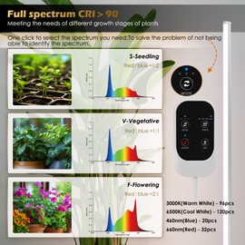 Standing Grow Light with Auto-Timer, 36W Vertical Grow Lights for Indoor Plants,3 Light Modes,268 LEDs Detachable Full Spectrum Plant Lights for Wide Area Coverage in Indoor Plants (60IN-Silver)