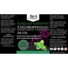 Liquid Greens Chlorophyll Activated Charcoal Mint 450ml - Balance pH,