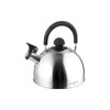 Brunner Dayo Kettle, Polished Steel