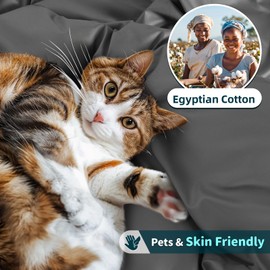 LBRO2M 100% Cotton 1200 Thread Count California King Size Sheets Set,16 inches Deep Pocket,Bed Sheet 4 Piece Sets (Dark Grey)