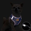Aiminto Denim Dog Harness & Leash Set, Breathable Mesh, Lightweight,