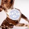 DotDotPet Mini Eco Dogs Towels | 10 x natural disposal
