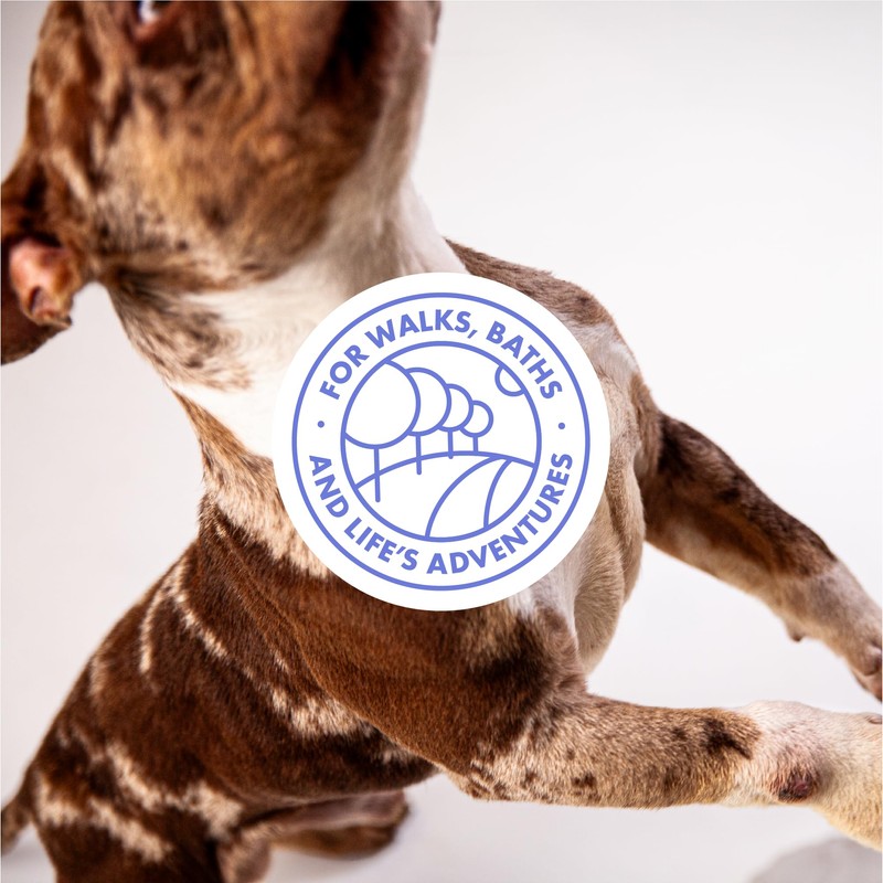 DotDotPet Mini Eco Dogs Towels | 10 x natural disposal