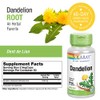 SOLARAY Dandelion Root 1040mg | Healthy Liver, Kidney, Digestion &
