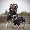 Spark Paws Dog Hoodie - Premium Quality, Buttery Soft, Superior