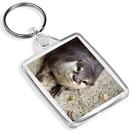 Destination Vinyl Keyrings Small Clawed Otter Keyring -IP02- Wild Animal Oriental #16432