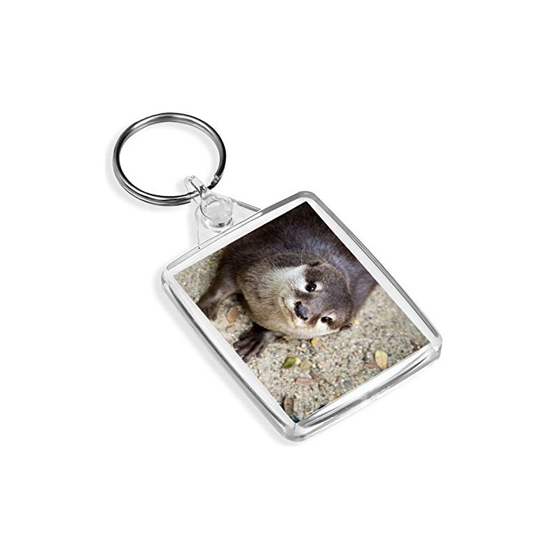 Destination Vinyl Keyrings Small Clawed Otter Keyring -IP02- Wild Animal