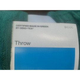 Room Essentials NWT Plush Teal Room Essential Blanket 50x60. 100% Polyester