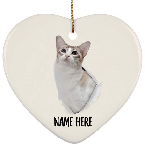 Customized Name Javanese Cat Crack Hole Gifts 2024 Christmas Tree