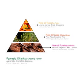 Ducati Ice Shampoo & Shower Gel - Men's Bath and Body Care | Orange & Eucalyptus Fragrance | Male Grooming Essential | Citrus, Aromatic & Woody Scent for Men | 300ml