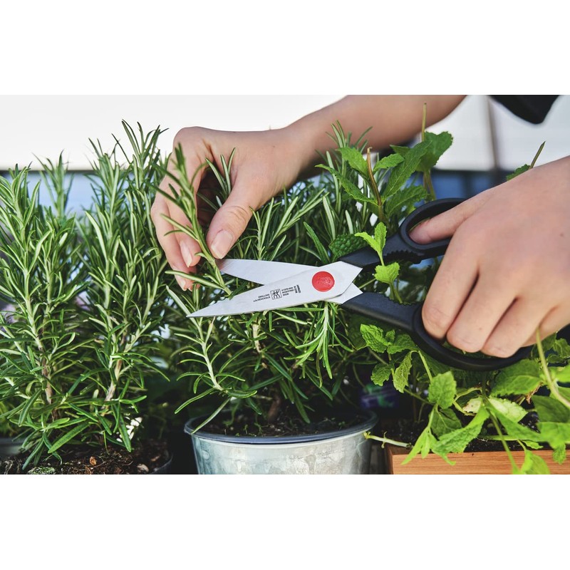 ZWILLING multi-purpose scissors, universal scissors, length: 20 cm, Stainless Special