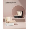 SONGMICS Jewelry Box with Mirror, 2-Layer Jewelry Holder Organizer, Travel