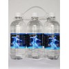 BELEV EN U Bottle Water The HYDRATOR, Perfect All Natural
