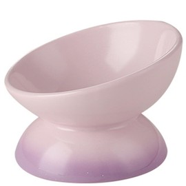 Busnos Ceramic Raised Cat Bowls for Indoor Cats 6.1 Inch Wide Cute Elevated Cat Food Bowls 15° Tilted Whisker Friendly Purple Cat Water Bowl Dishwasher and Microwave Safe Puppy Feeding Set Supplies