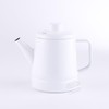 Fuji Hollow Coffee Kettle, 1.6 L (1.6 L), Induction Compatible,