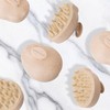 Cricket Scalp Massage and Shampoo Brush, Scalp Care, Scrub, Exfoliate,