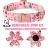 Babole Pet Christmas Dog Collars for Small Dog with Flower