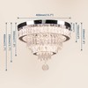 Finktonglan 16" Crystal Ceiling Light, Modern Crystal Chandeliers with Remote