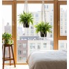 2 Pcs Small Macrame Plant Hangers, Small Plant Hanger