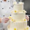 dekora – Fiori commestibili per torte – 10 margherite in