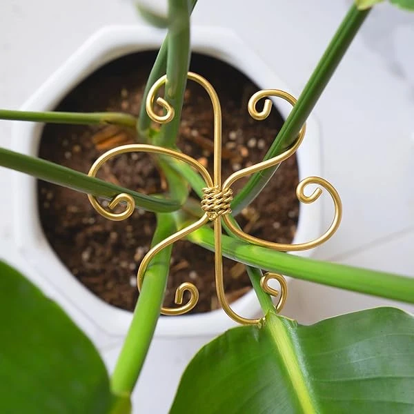 5PCS Monstera Plant Support System 4.1IN - Durable Hook Stem