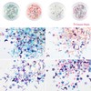 Princess-style Unicorn Glitter Nail Resin Glitter Hologram Moon Star Pastel