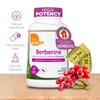 Zahler Berberine with Clinically Evaluated Berbevis, Metabolism and Glucos Support