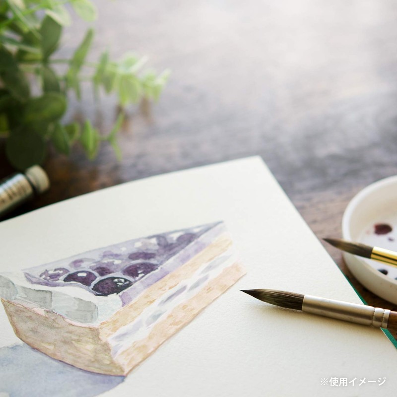 Maruman S20VA vifArt Watercolor Paper Sketchpad, F0, Medium Grain