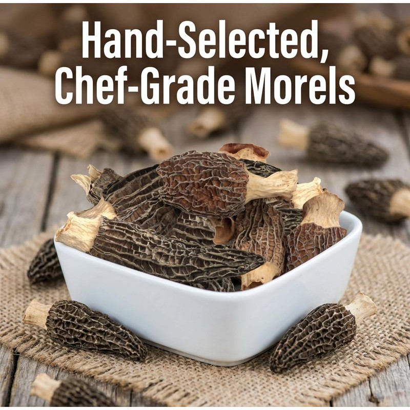 Season Harvests Dried Morel Mushrooms 2oz, Premium Gourmet Morels –