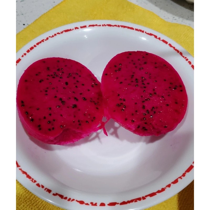 Cactus Robles Red Dragon Fruit (Pitaya)- 2 Cuttings 8-10 Inch