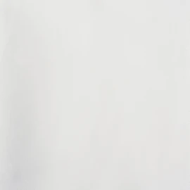 DII Wrinkle Resistant 20x20 Polyester Napkin, Pack of 6, White - Perfect for Brunch, Catering Events, Thanksgiving, Dinner Parties, Showers, Weddings and Everyday Use