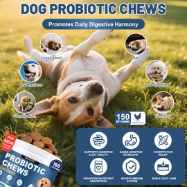 SnazFirst Probiotics for Dogs, Dog Probiotics Chews for Digestive Health & Gut Health, Improve Immune System,Constipation & Diarrhea Relief(Chicken Flavor, 150 Chews)