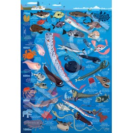 Epoch 26-807 100 Piece Jigsaw Puzzle, Deep Sea Creatures Illustrated Book, Water Depth 200-1000m, Large Piece (10.2 x 15.0 inches (26 x 38 cm)