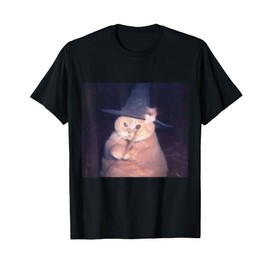 Funny Wizard Cat Fat Cat Meme Cheeseball Orange Cat Magic T-Shirt