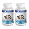 Dog Urinary Care Dog Food - Urinary Tract Support -