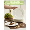 TAMAYKIM 10 Inch Porcelain Salad Dinner Plates 8 Pieces, Wide