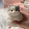 3D Soft Cat Soft Squeeze Toy Cute Soft Cat Finger