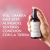 Aveda Chakra 1 Balancing Pure-Fume
