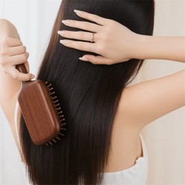 Hair Care Product Hair Brush Massage Portable for daily shower and hair routines, Korean beauty hair care item, and Personal, Option 1